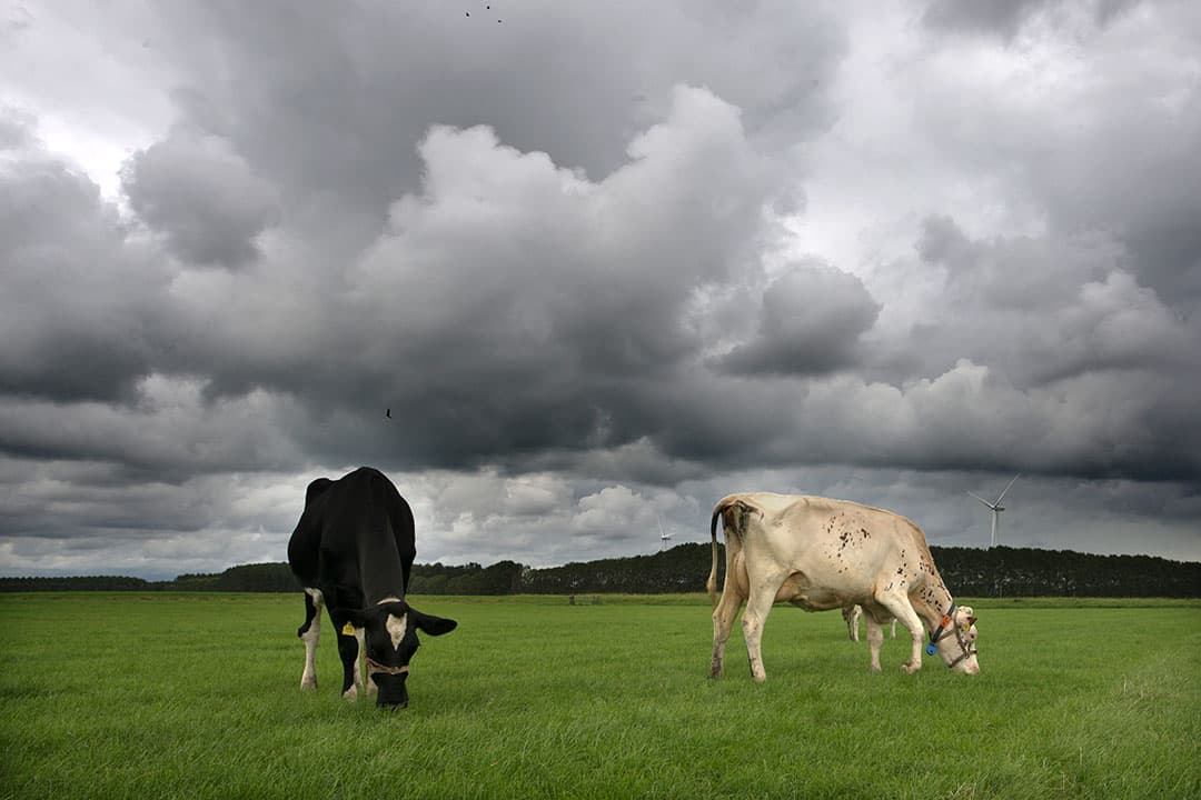 Foto: Diederik van der Laan