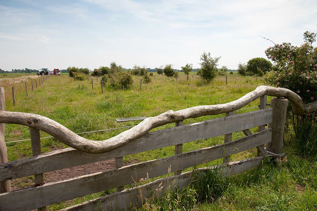 Een overhoekje, ontstaan bij de ruilverkaveling, kan een grote bijdrage leveren aan de biodiversiteit in het hele akkerbouwgebied. Dit is ingericht als combinatie van begraasd weiland en struikgewas.