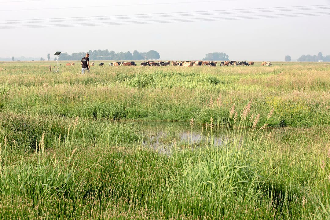 Foto: Anne van der Woude