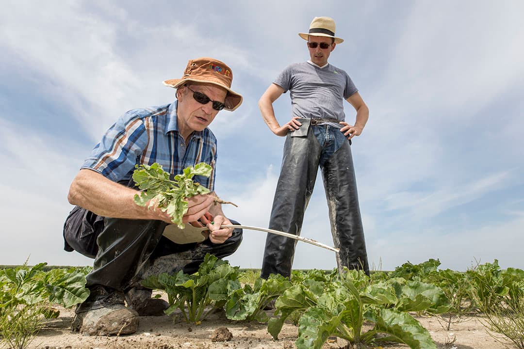 Water veroorzaakt schade, maar ook groeiexplosie