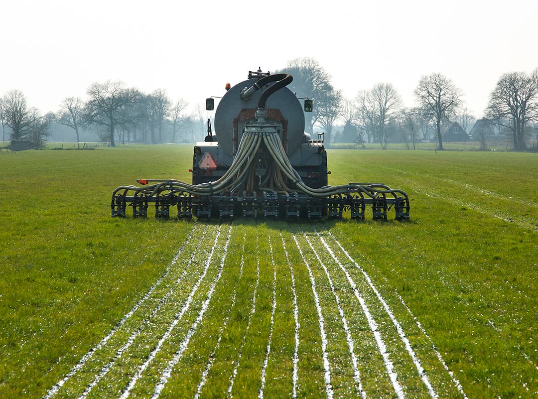 Foto: Ruud Ploeg