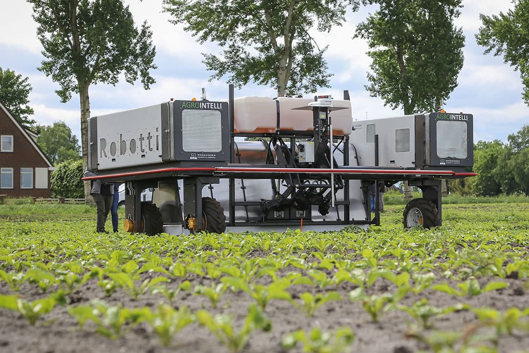 Foto: Matthijs Verhagen