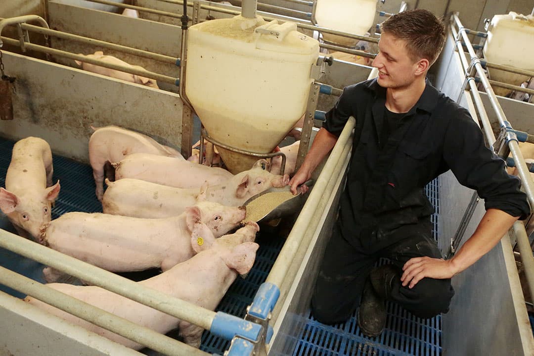 Foto: Ton Kastermans Fotografie