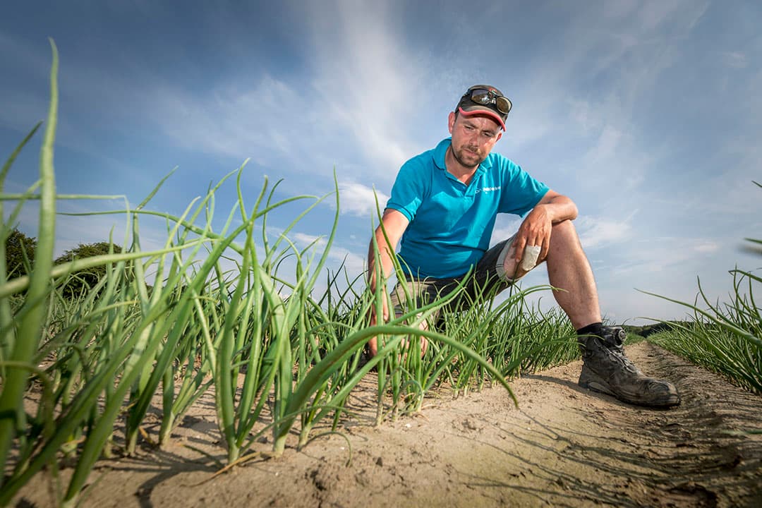 Foto: Koos Groenewold