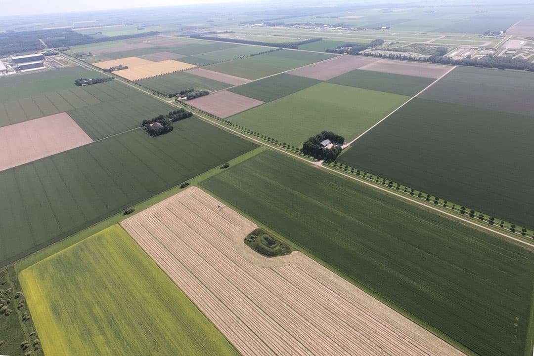 Foto: Sytze Bakker