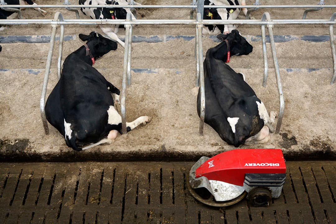Foto: Henk Riswick