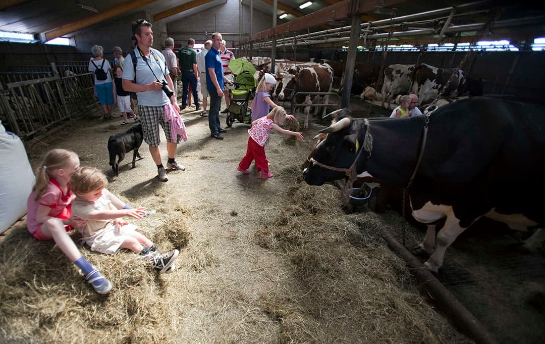 Foto's: Roel Dijkstra