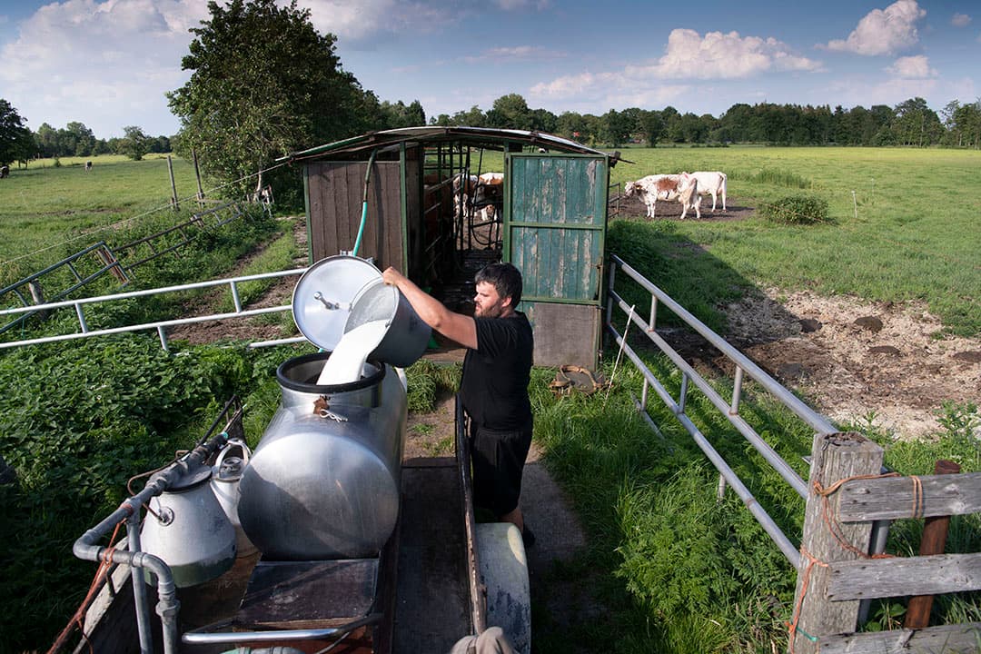 Het weer voorspelde begin deze week weinig goeds, dus was de Betuwse melkveehouder Dik van Schaik uit Heeteren dinsdagavond laat nog aan het gras rijden. Alles op alles zetten om het voor de bui in de bult te hebben. En met succes. - Foto: VidiPhoto