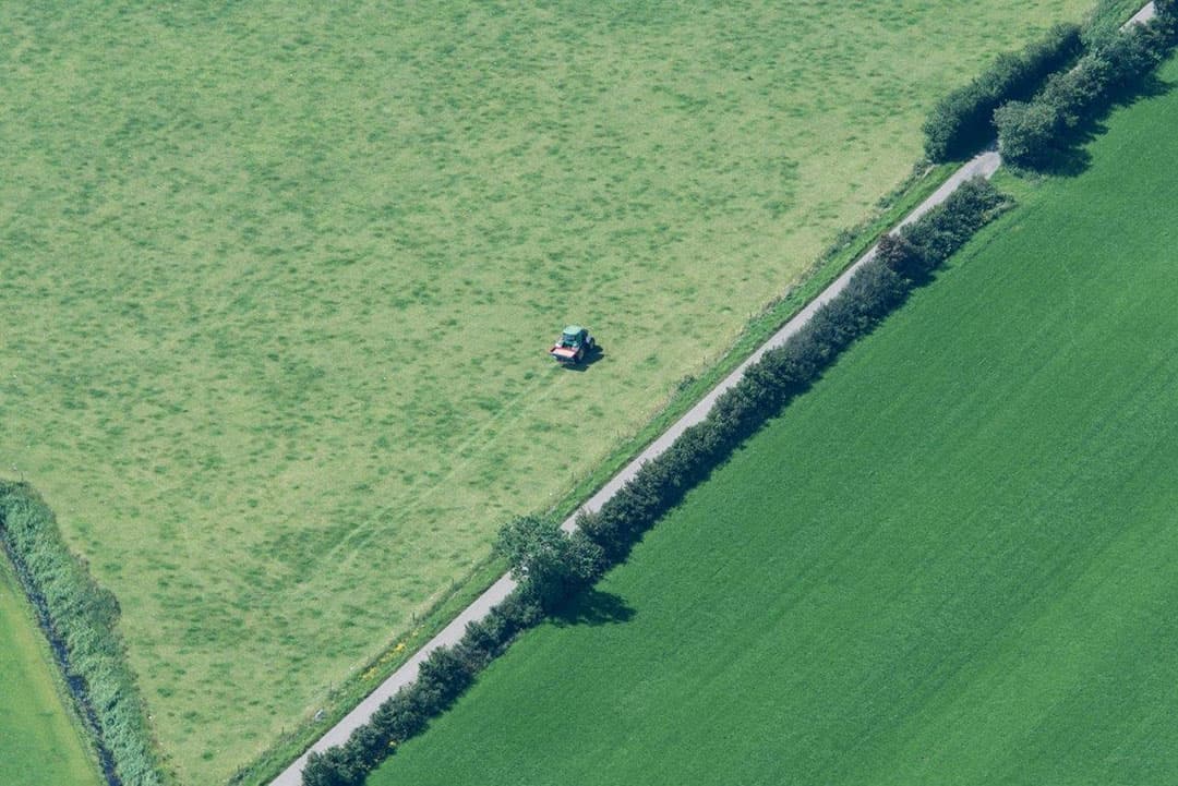 Dit perceel mais op Texel heeft ook water gehad, we zien ook een springer in het zaaibeeld. Gps even weg?