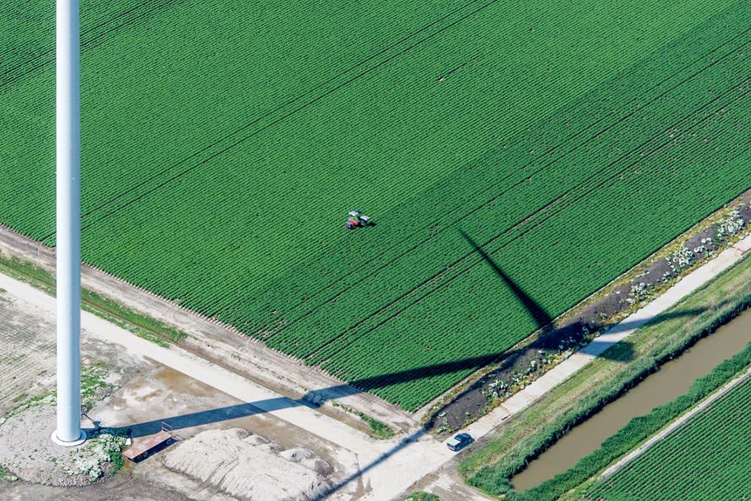 Hier lijkt het geen akkerbouw of groenten, gezien de kleuren zou het om bloemen kunnen gaan. Vers gesneden?