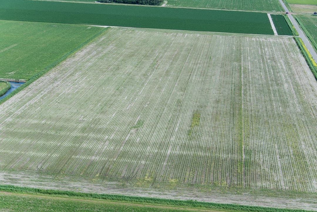 Stikstof voor een nieuwe snee gras?