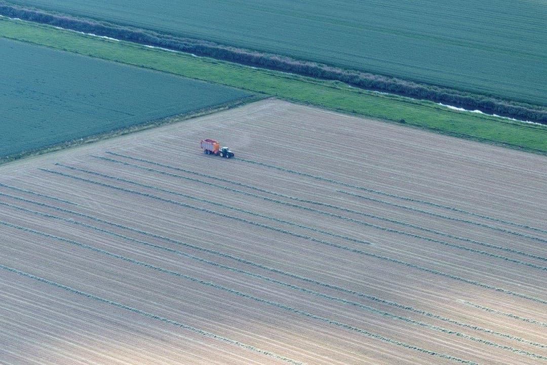 Oppakken met ladewagen van voorgedroogde wiersen gras.