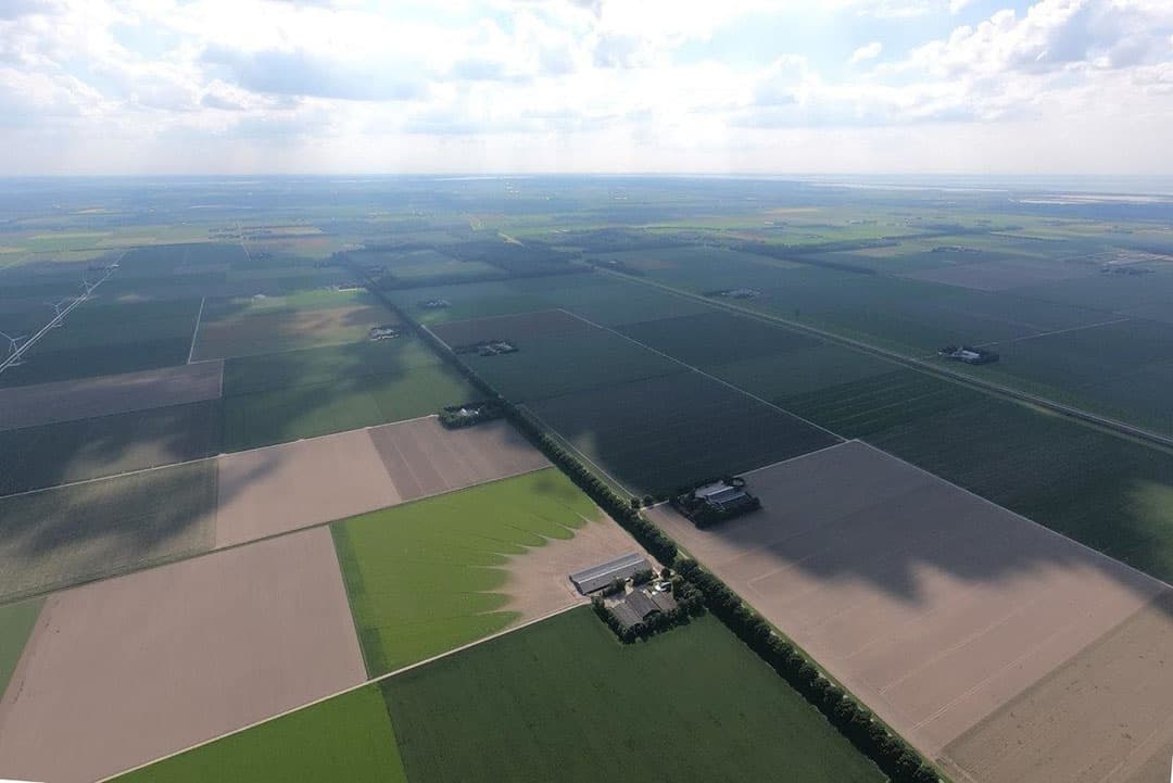 Bij Lelystad wordt een perceel gemaaid gras dat al aardig verkleurd is uit elkaar geschud. - Foto's: Sytze Bakker