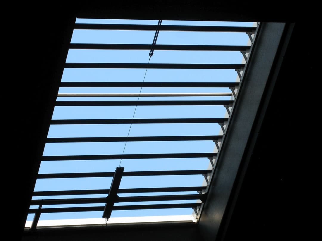 Bij de dochtergroepen waren de meeste dieren woensdagmiddag al aanwezig. Tijdens de voorbereiding bleek één koe in een flits ontsnapt. Dwars en eigenwijs denderde ze overal doorheen. De inzender heeft haar weer opgeladen en een paar uur later liep ze weer rustig in de stal.