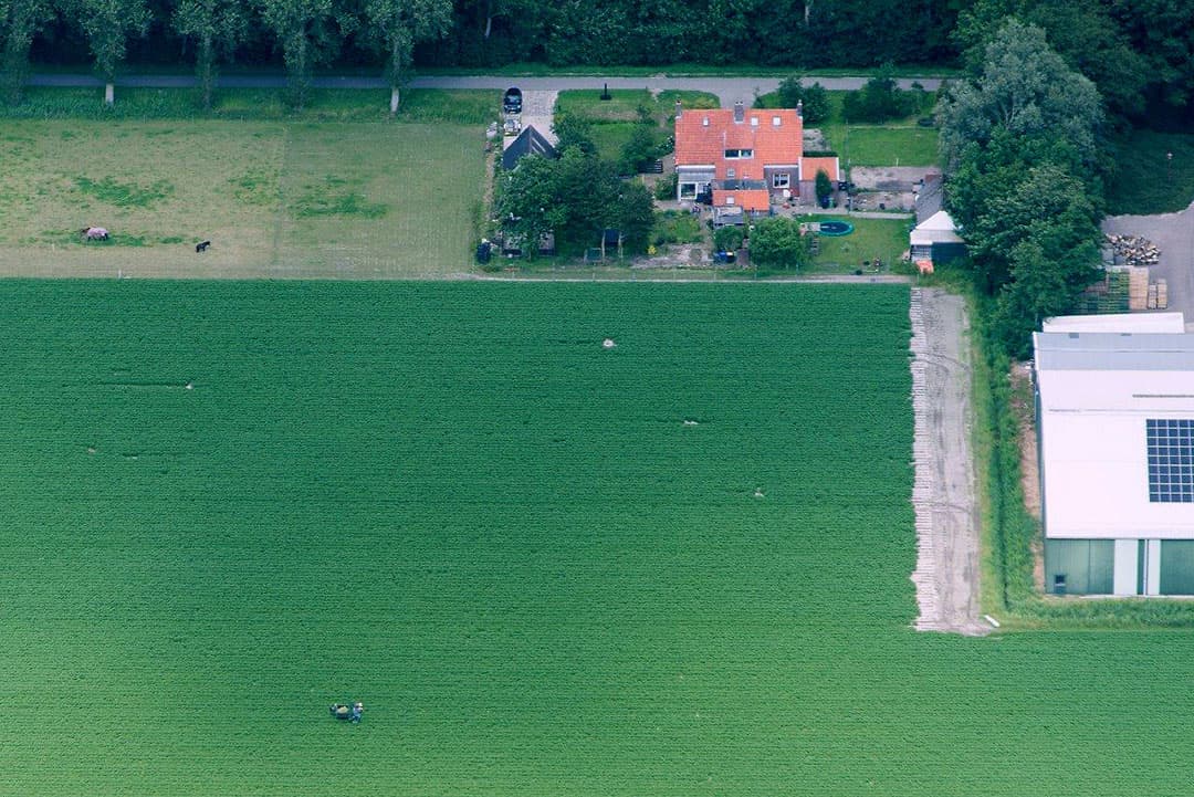 Hier zien we, naast gelegerde wintergerst, meer schade door veel regen.