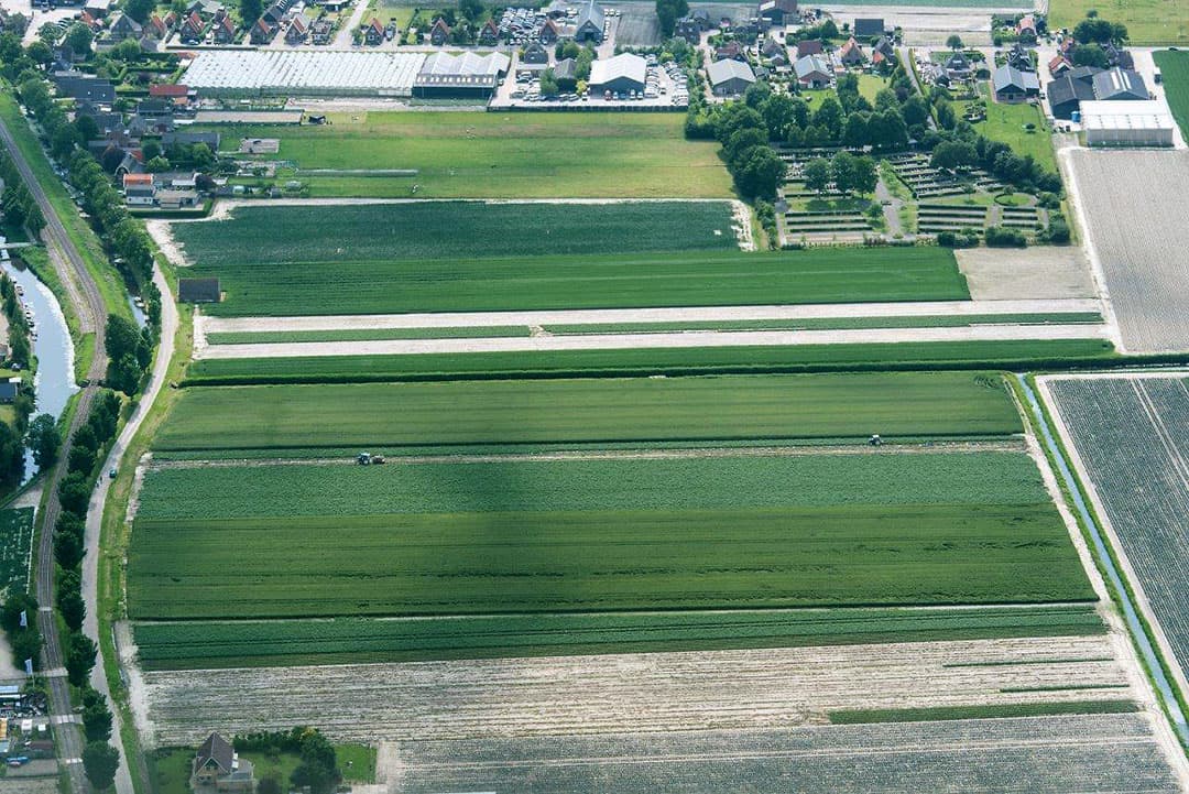 Met een vluchtje richting Texel zien we een groenteteler bezig met de oogst van kool. - Foto s: Sytze Bakker