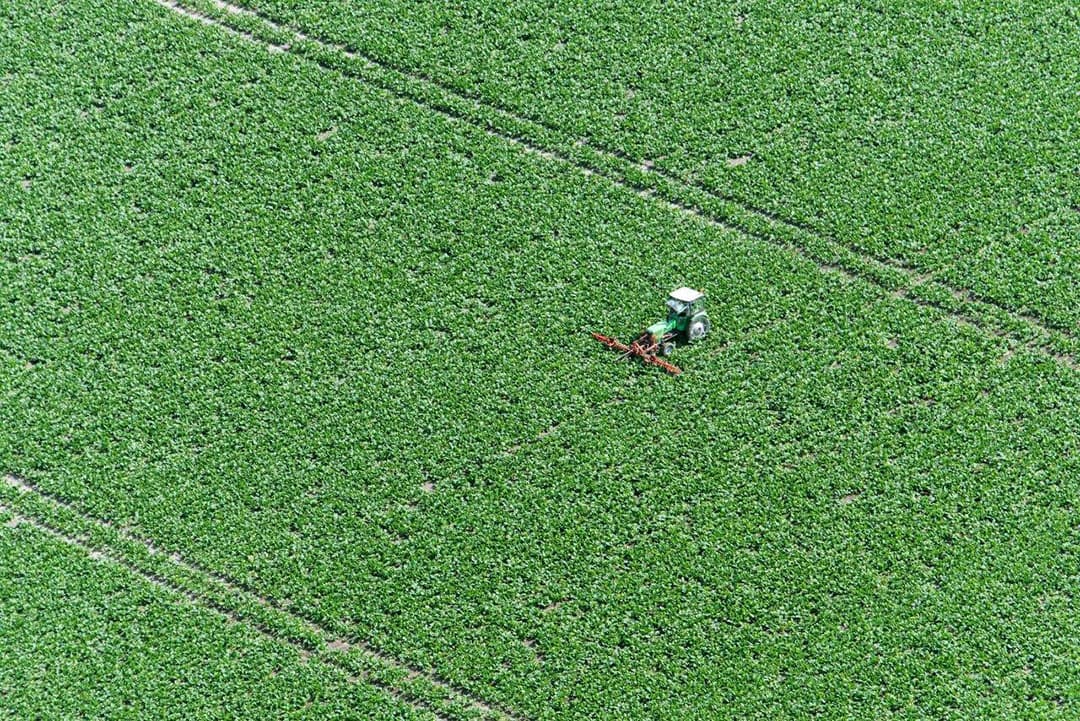 Bieten schoffelen zien we niet veel meer en biologisch is voor suikerbieten ook geen optie.
