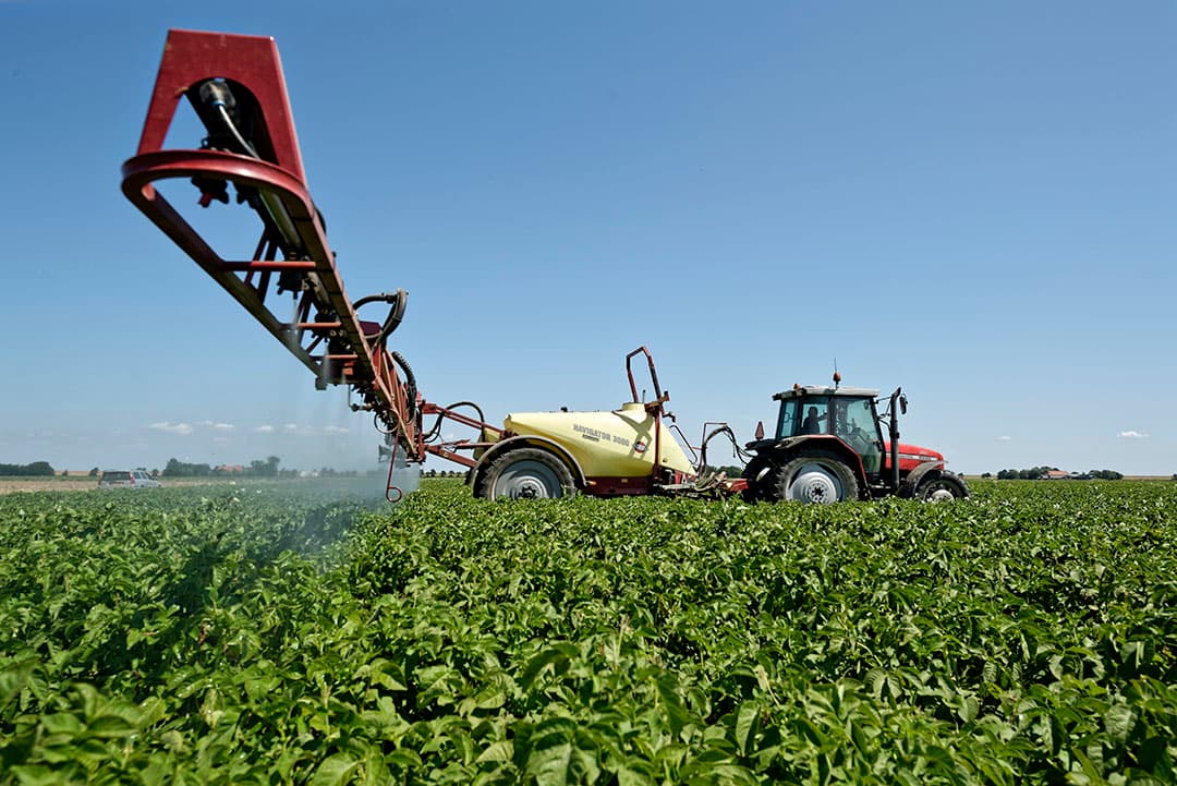 Phytophthora spuiten. Apps adviseren na beregening minder vaak een bespuiting dan telers denken. Nieuwe deelnemers aan het Limburgs WaardeNetwerk zijn nog welkom.