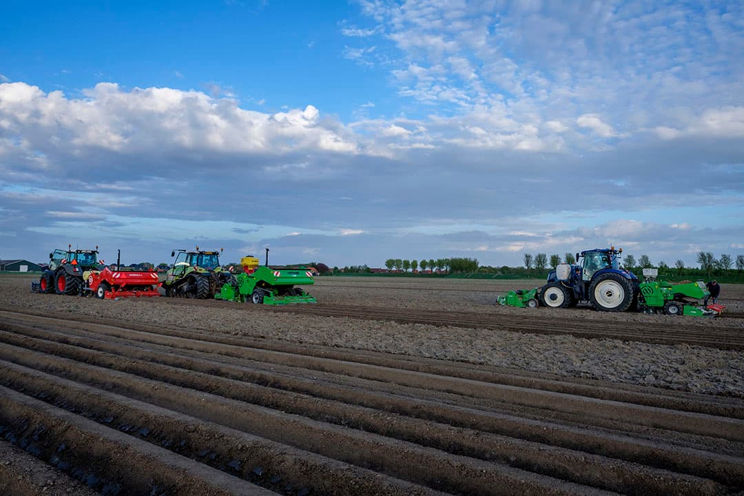 Foto: Roel Dijkstra