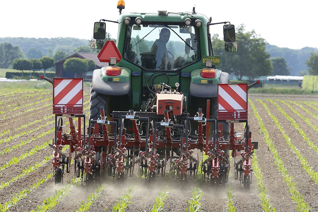Foto: Hans Prinsen