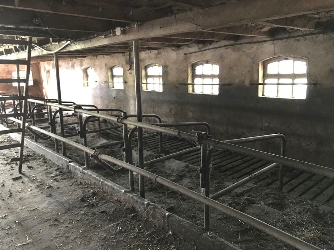Foto: Boerderij