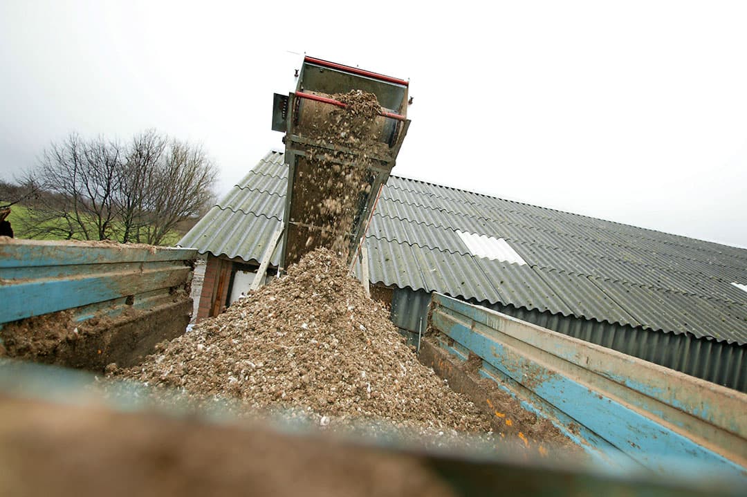 Foto: Jan Willem Schouten