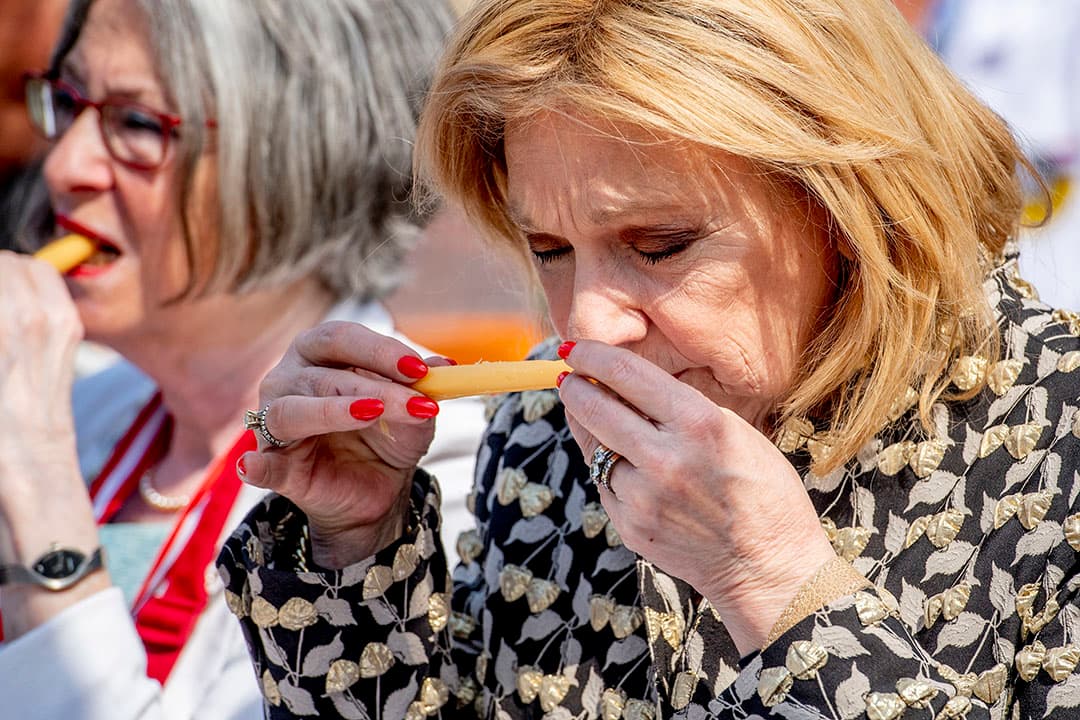 Culinair journaliste Janny van der Heijden (bekend van programma s als Heel Holland Bakt)  beruikt  een kaasboorsel bij de Gouda Cheese Awards 2019. Samen met andere juryleden gaf ze op de drukke Goudse kaasmarkt en vol voor het oog van het publiek haar oordeel over diverse aangevoerde kazen. Dit jaar is dat voor het eerst in het openbaar. Twee soorten Goudse kaas wonnen de eerste prijs en mogen een jaar lang het predicaat  lekkerste kaas van Nederland  voeren. - Foto: ANP
