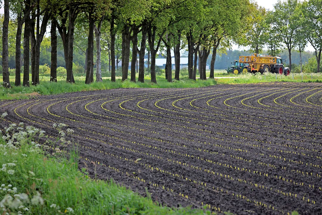 Foto: Jan Willem van Vliet