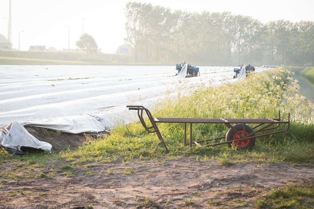 Foto: Boerderij