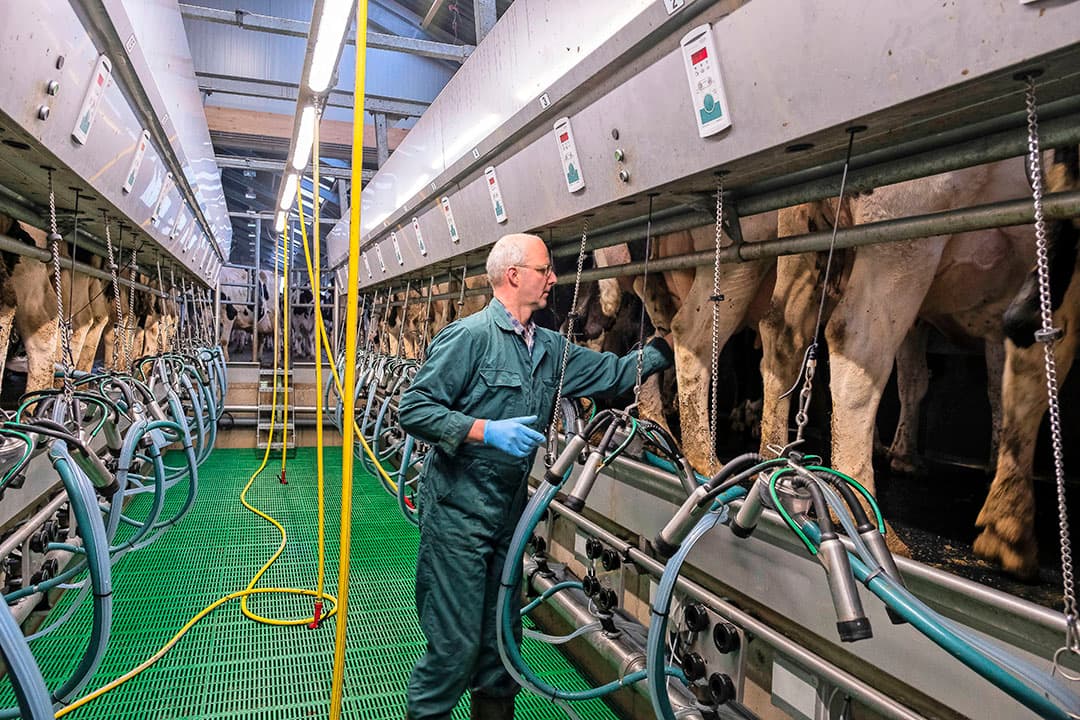 Foto: Jan Willem van Vliet