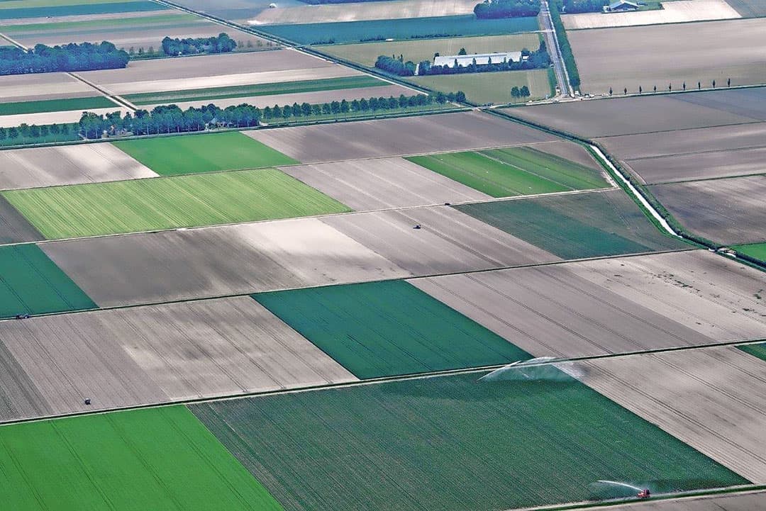 Foto: Sytze Bakker