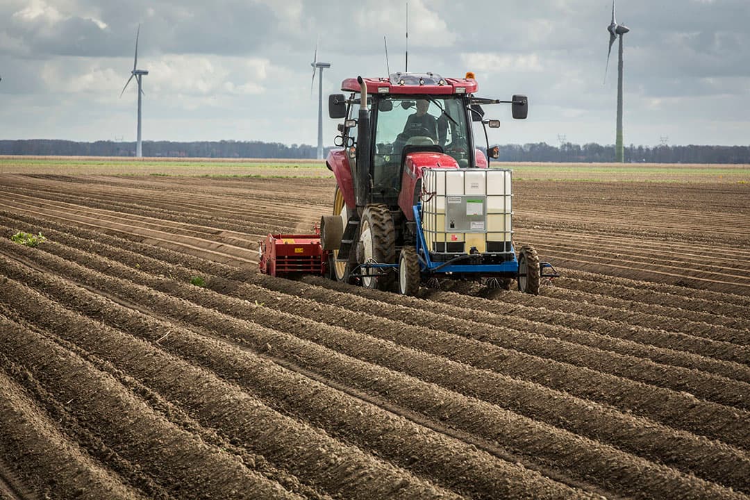Foto: Koos Groenewold