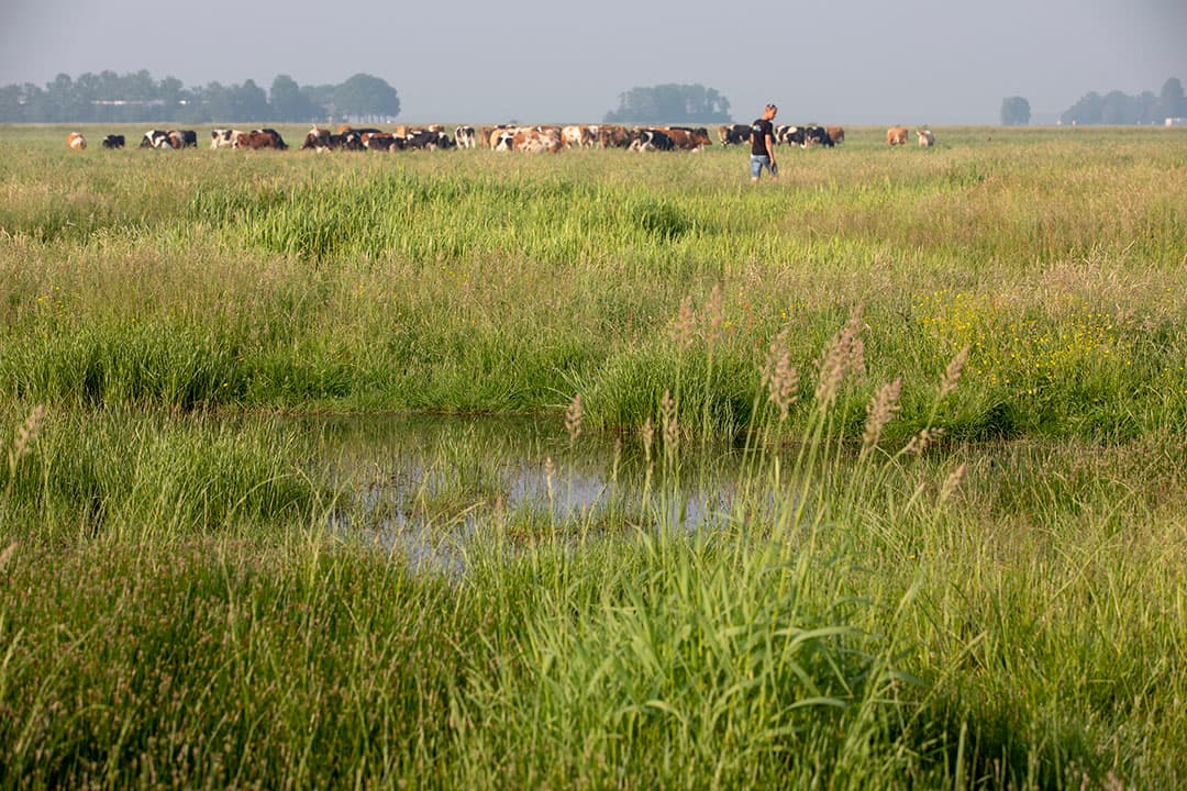 Foto: Anne van der Woude