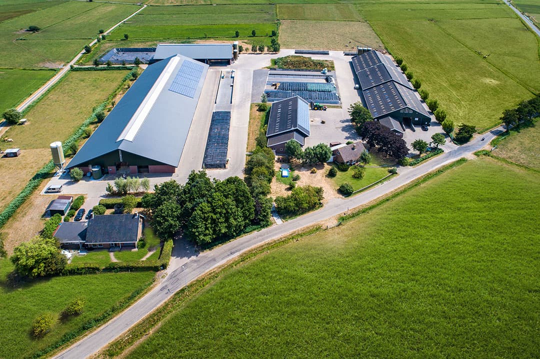 Er is ook een potstal uit 2004. Hier werd voorheen vleesvee biologisch gehouden. Nu is de stal vooral geschikt voor jongvee en droge of drachtige koeien. De totale capaciteit: 280 dieren.