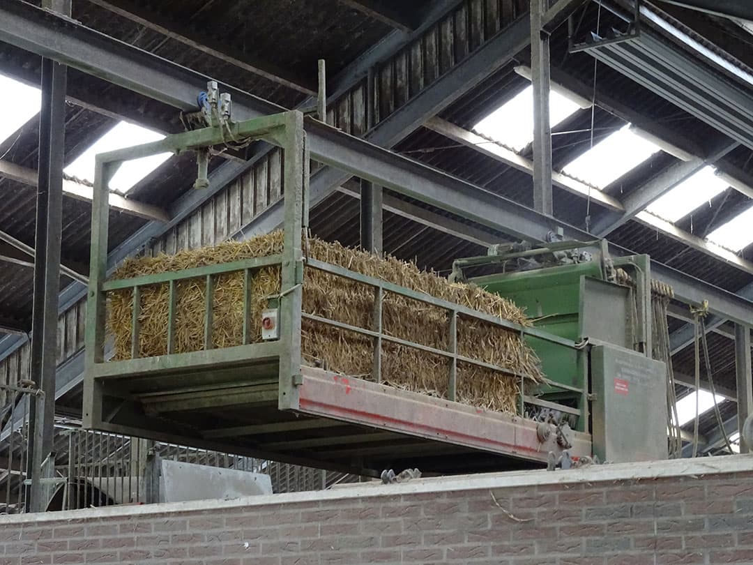 Een overzicht in de stal. De brede voergang en lichtstraat vallen op. Links was tot begin dit jaar het melkvee gehuisvest (220 boxen). Rechts stonden droge koeien en een deel van het jongvee. Voor dit bedrijf geldt een NB-vergunning voor 240 melkkoeien en 220 stuks jongvee.