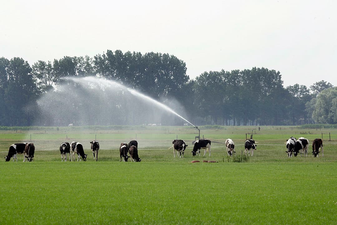 Foto: Henk Riswick