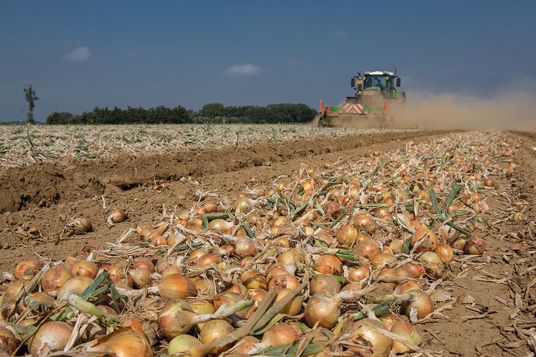 Foto: Peter Roek