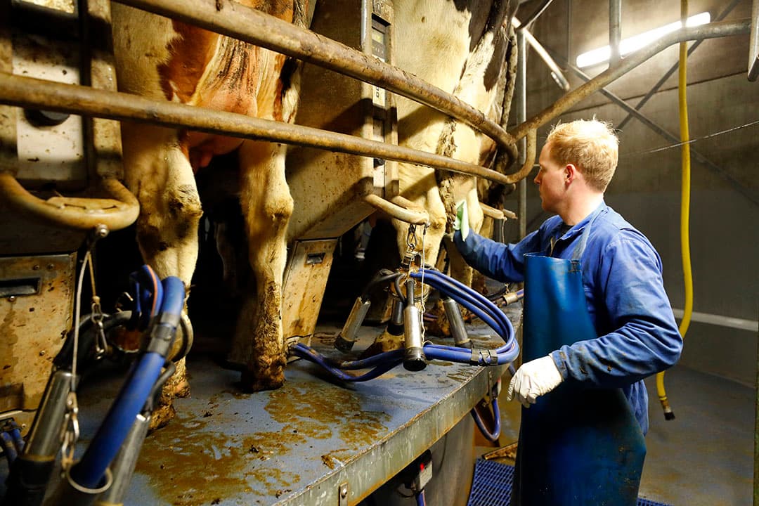 Joris van Zeelst 407479