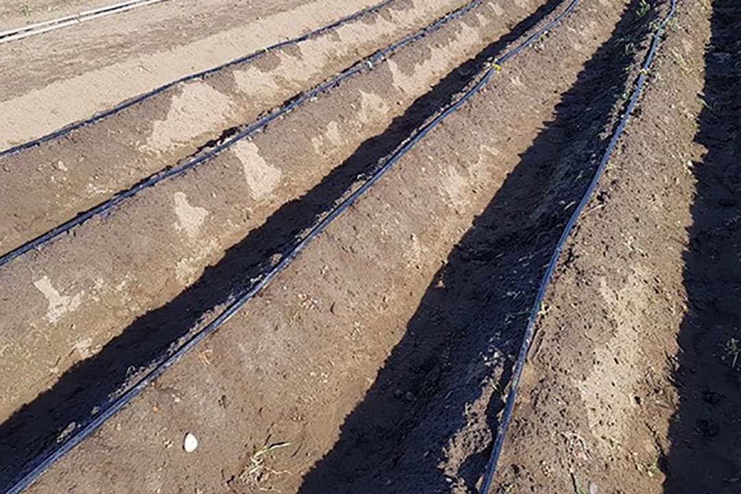 Hoe krijgen we water in de aardappelrug?
