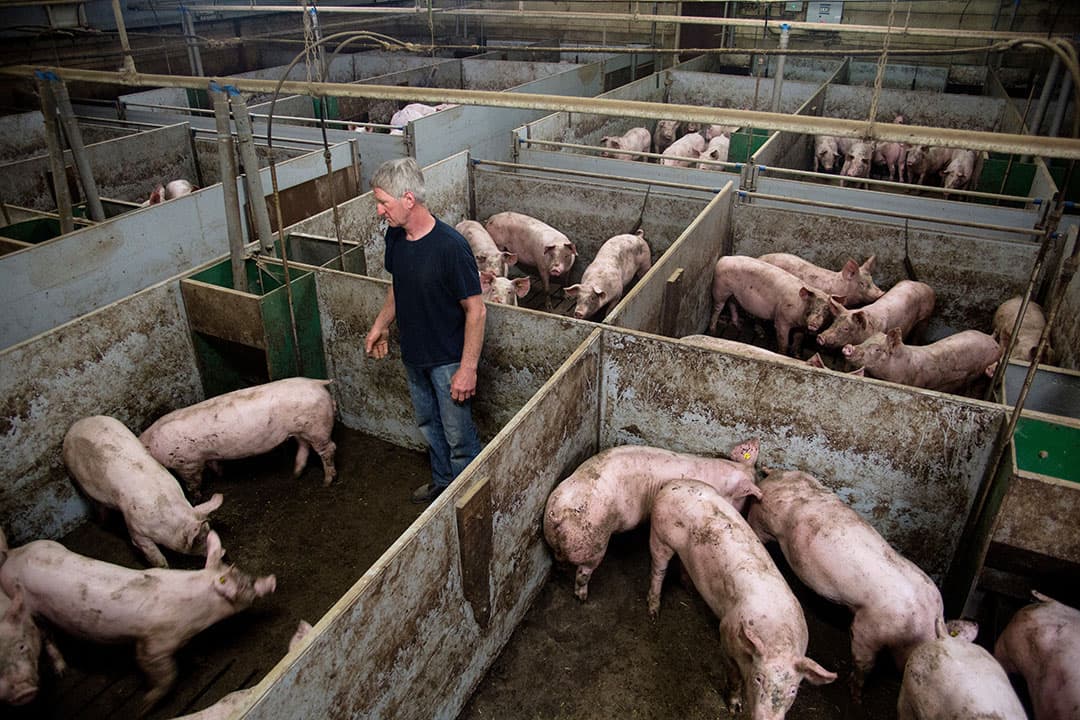 Foto: Herbert Wiggerman