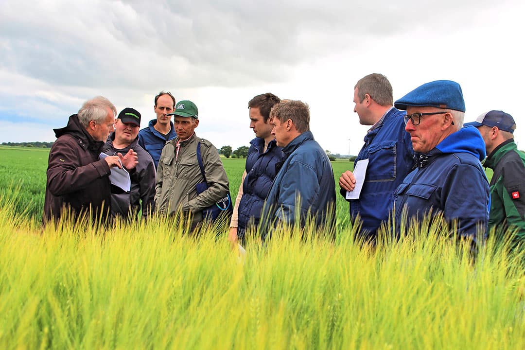 Uitleg bij de Duitse gerstproefvelden door Josef Hamm, helemaal links op de foto. - Foto: Guus Queisen