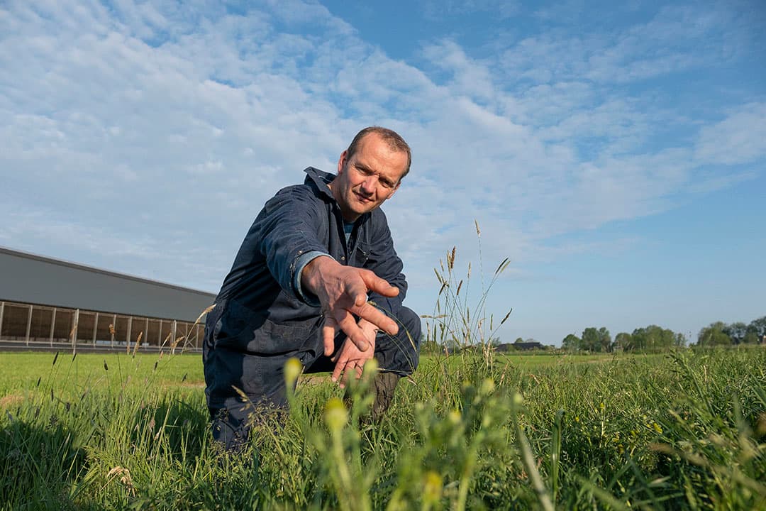 Bedrijven met het Beter Leve-keurmerk maken gebruik van 100% groene stroom. Giesen doet dat onder andere met 2 windmolens op het eigen erf om duurzame energie op te wekken.
