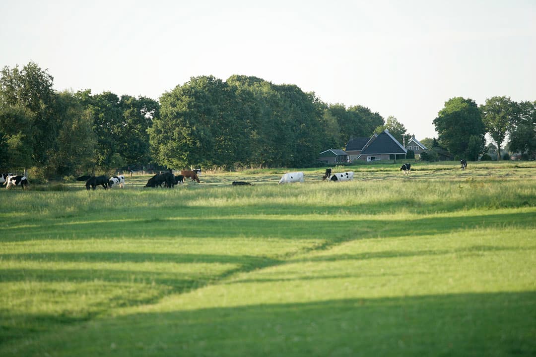Foto: Jan Willem Schouten