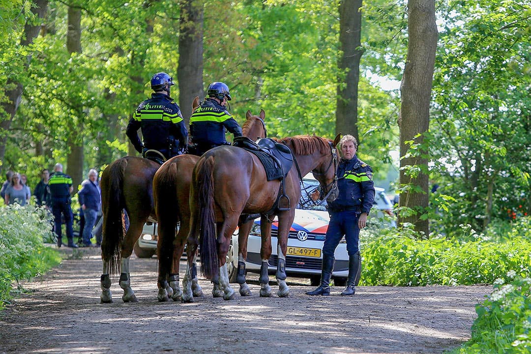 Foto: Bert Jansen