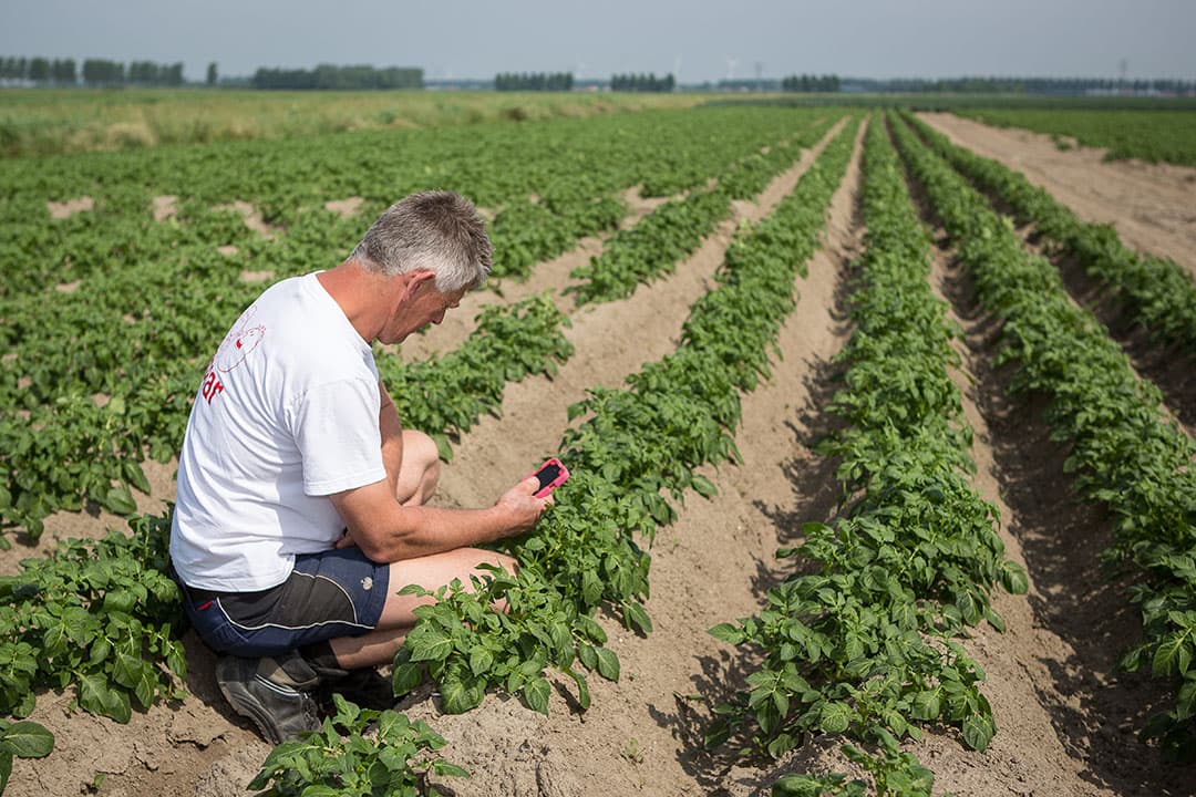 Foto: Peter Roek