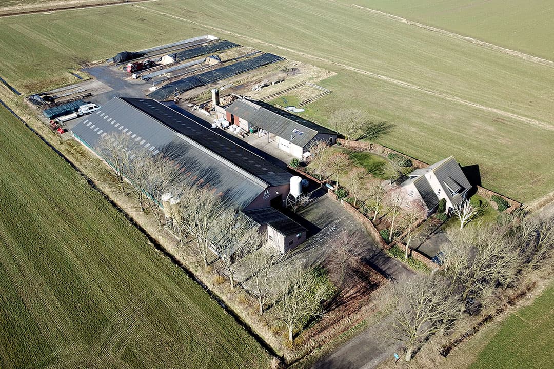 Foto: Bert Jansen