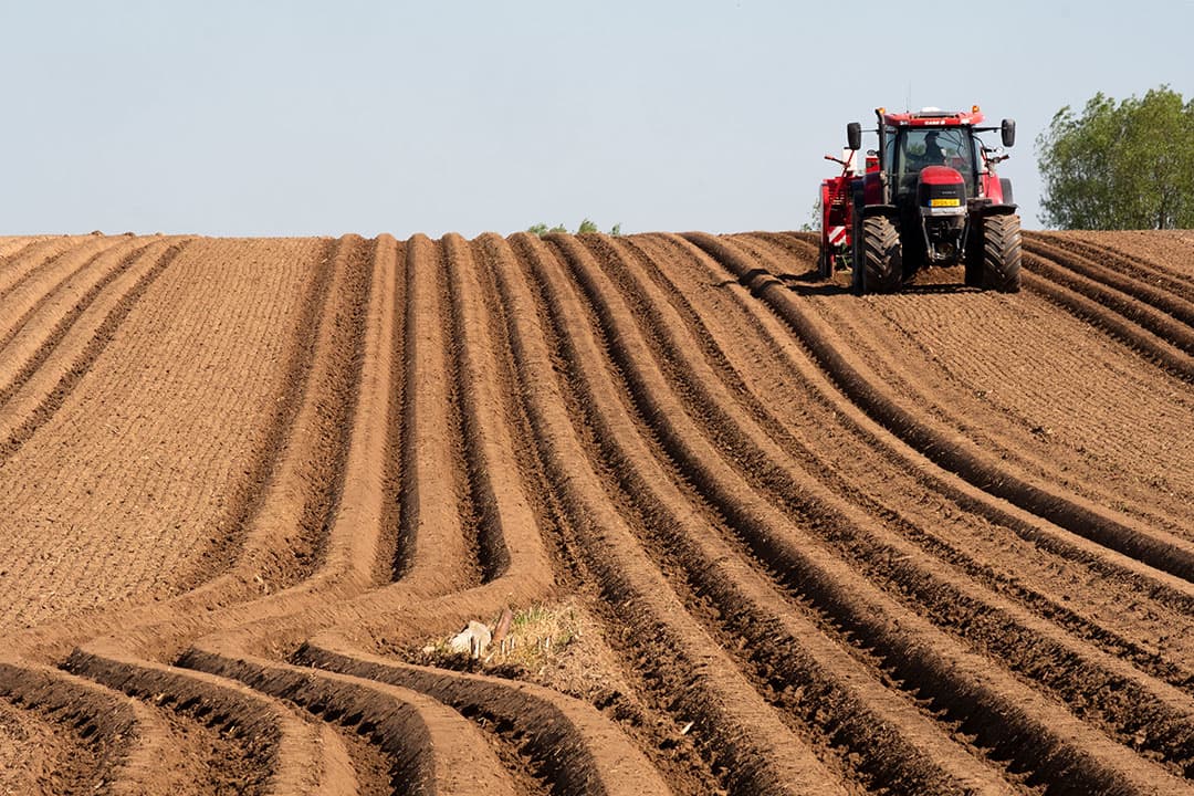 Foto: Twan Wiermans