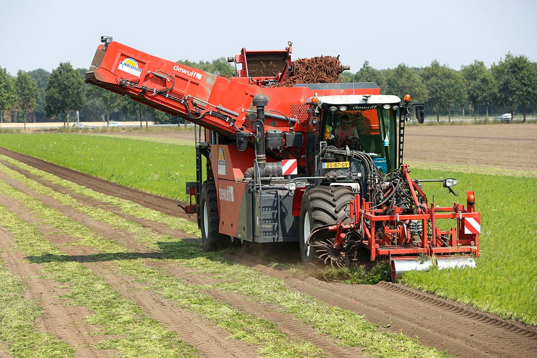 Foto: Henk Riswick