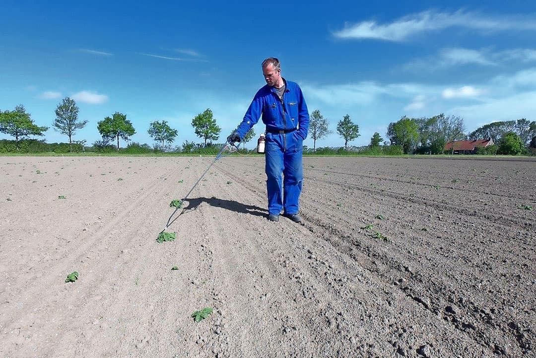 Foto: Sytze Bakker
