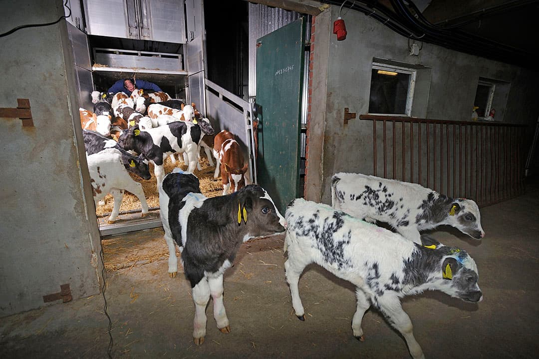 Foto: Frank Uijlenbroek.